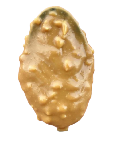 2 DAILY LIFE - DELIGHT FITNESS - CARAMEL CRUNCHY