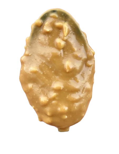 2 DAILY LIFE - DELIGHT FITNESS - CARAMEL CRUNCHY